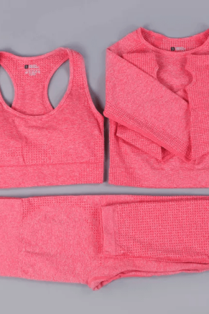 3 PIECE SEAMLESS TIGHTS, BRA & LONG SLEEVE TOP – CORAL