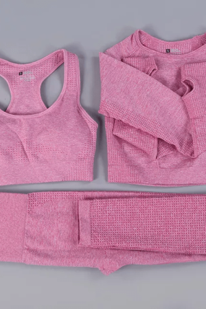 3 PIECE SEAMLESS TIGHTS, BRA & LONG SLEEVE TOP – PINK