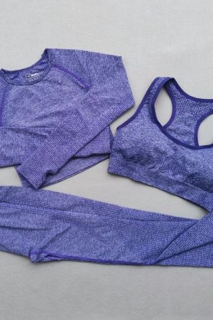 3 PIECE SEAMLESS TIGHTS, BRA & LONG SLEEVE TOP – PURPLE